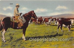 Horse Cown Hand Rio Grande Unused 