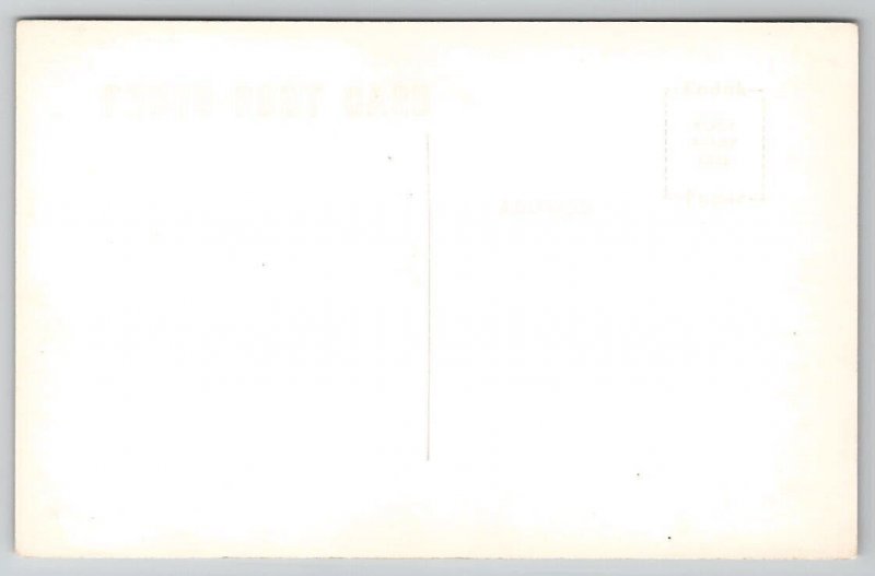 RPPC Chipmunk Nuts About Northern California Postcard G21