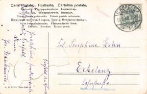 A112 Artist Card 1908 Two Kittens Playing Green Basket Bow signed postcard