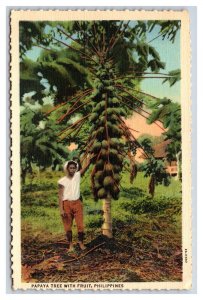 Papaya Tree With Fruit Philippines UNP Linen Postcard W3