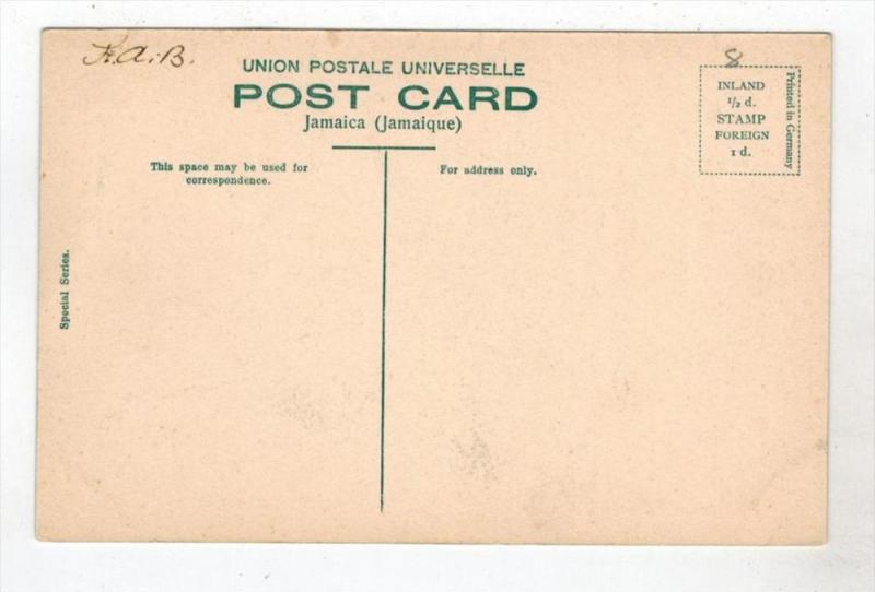 311  Jamaica  Oxen pulling SUGAR CANE CART