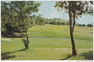 Fountain Valley Golf Course, Kineshill , V.I. , PU-1984