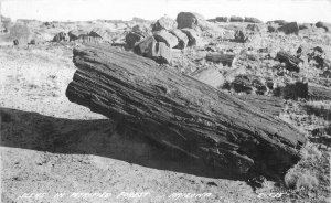 Arizona Petrified Forest 1944 Route 66 RPPC #C535 Photo Postcard Cook 20-11524