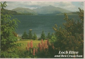 Scotland Postcard - Loch Etive and Ben Cruachan   RR8448