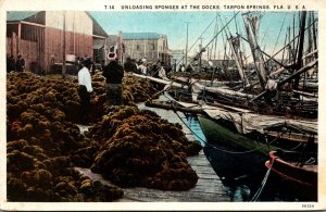 Florida Tarpon Springs Unloading Sponges At The Docks Curteich