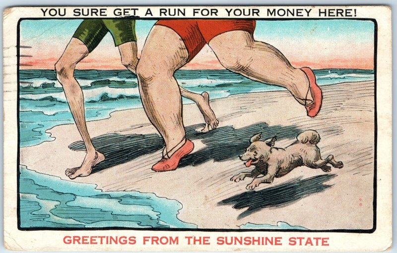 c1910s FL Florida Greetings from Sunshine State Cute Dog Fat Woman Man Run A277