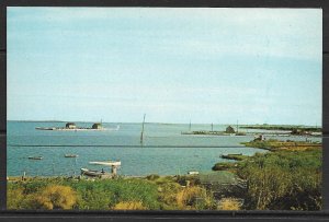 Maryland, Smith Island - Looking North Near Harbor At Ewell - [MD-022]