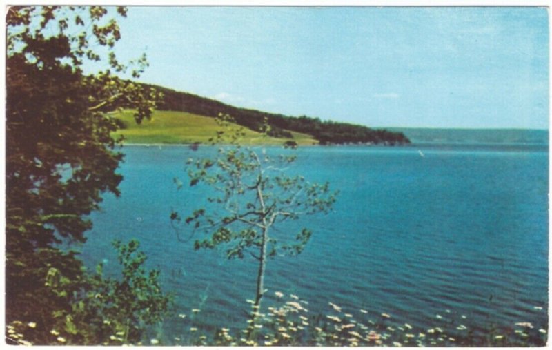 Looking Across Baddeck Bay To Beinn Bhreagh, Cape Breton NS, Vintage Postcard