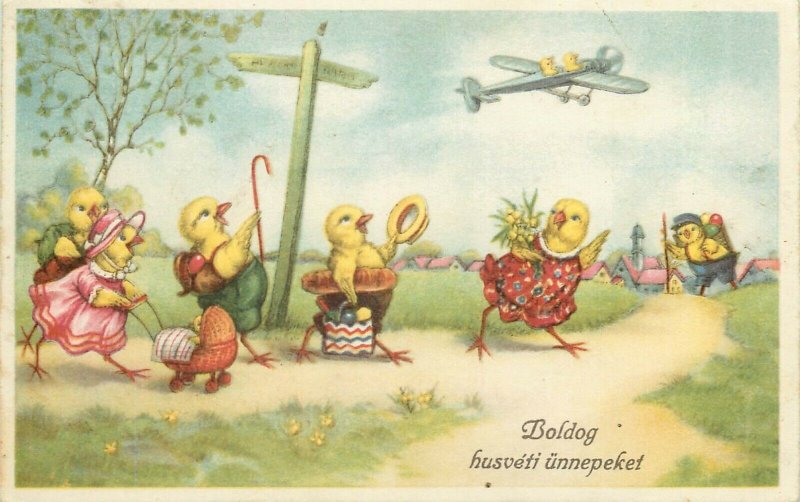 hungary easter humanized easter chicken fantasy postcard