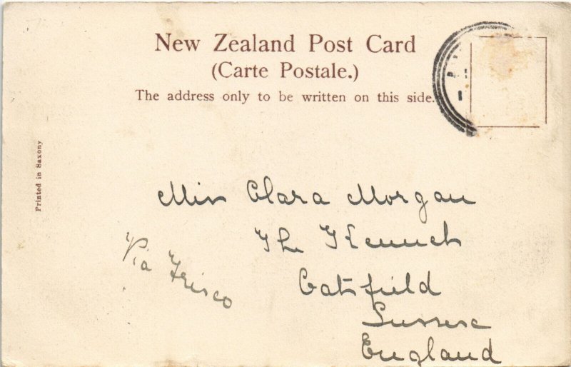 PC NEW ZEALAND, AUCKLAND, PUBLIC LIBRARY &ART GALLERY, (B41601)