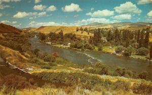 KLAMATH FALLS, OR Oregon  LINK RIVER & Riverfront Homes  c1950's Chrome Postcard