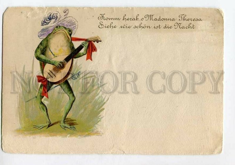 3134381 Dressed FROG as Musician w/ SWORD Vintage color PC