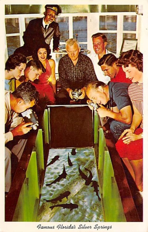 Florida's Silver Springs Passengers Aboard The Glass Bottom Boats Silver Spri...