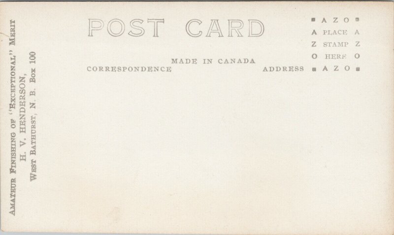 Bonaventure Island Quebec QC Lofty Cliffs HV Henderson RPPC Postcard G65