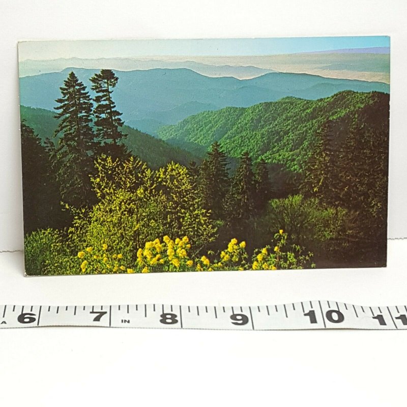 Vintage Postcard Great Smoky Mountains National Park North Carolina