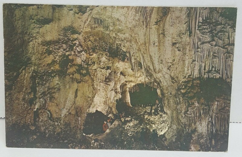 Big Room Carlsbad Caverns National Park New Mexico Vintage Postcard