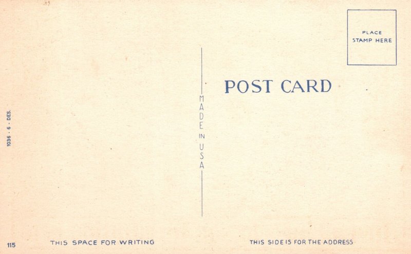 Black Cat Walking on Clothes Line, Just a Line I'm Staying Here, Comic, Postcard