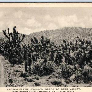 c1930s San Bernardino Mountains CA Cactus Flats Johnson Grade Bear Valley PC A90