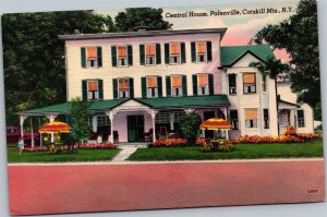 Postcard NY Catskill Mountains Palenville Central house