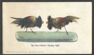 Ca 1902 PPC* VINTAGE CHICKENS THE START (GALLOS) CHICKEN FIGHT MINT