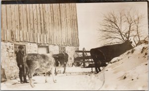 Man w/ Cattle (Clinton Ontario Cancel) Farmer Barn Cows c1912 RPPC Postcard F68