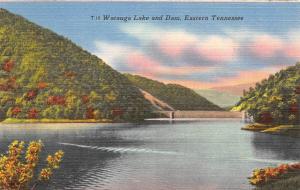 TN, Tennessee           WATAUGA LAKE AND DAM           c1940's Linen Postcard