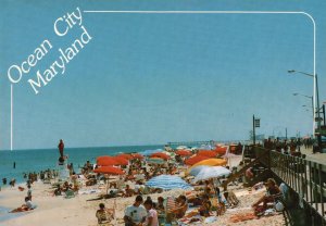 Vintage Postcard Beach Bathing Vacation White Sand Ocean City Maryland MD