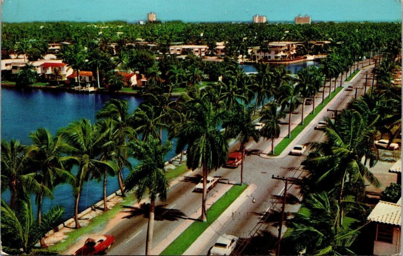 Vtg Fort Lauderdale FL Las Olas Boulevard Palm Lined Street View 1960s Postcard