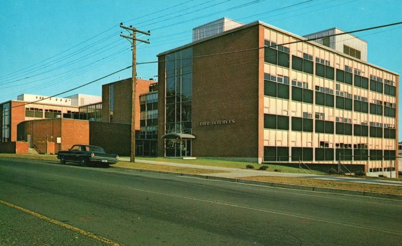 Vintage Postcard The Life Science Building University Connecticut Storrs CT KNC