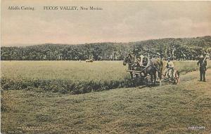 Circa 1910 Hand Colored PECOS VALLEY, NEW MEXICO Alfalfa Cutting postcard 8209