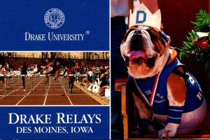 Iowa Des Moines Drake University Relay Race and Bulldong Beauty Contest Winner