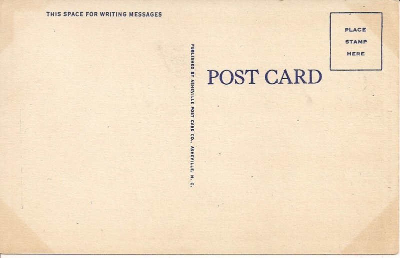 Black Americana, Man Working Turpentine Plantation, American South, Dixie 1930