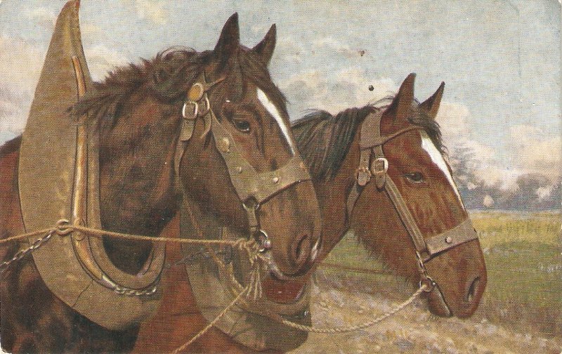 Two heavy horses Old vintage English postcard