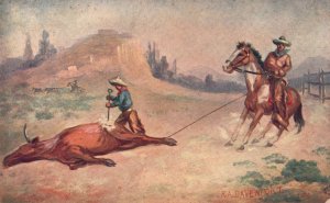 Vintage Postcard Real Painting Dead Bull Boy Riding on Horse Davenport Artwork