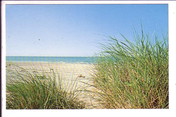 Beach, Cape Cod, Massachusetts, 