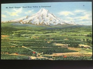 Vintage Postcard 1930-1945 Mt. Hood Hood River Valley Oregon