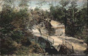 Elyria OH Natural Bridge Cascade Park Albertype Postcard Ad c1910 Postcard