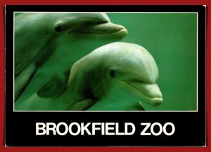 Illinois. Chicago - Brookfield Zoo - Dolphins - [IL-392X]