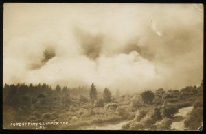 Forest Fire, Clipper Gap, CA. RPPC. 1909 Bowman, California, Doane cancel