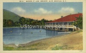 Lake Tomahawk in Black Mountain, North Carolina