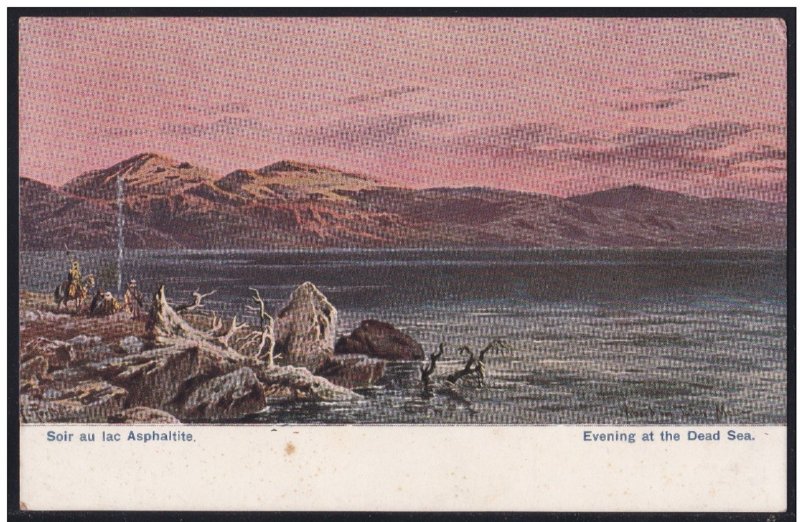 Evening at The Dead Sea Color Postcard - Israel Palestine