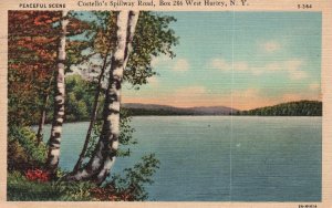 Vintage Postcard 1948 Waterfront Costello's Spillway Road West Hurley New York