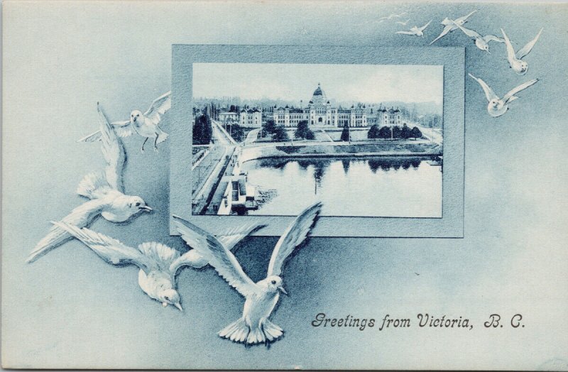 Greetings from Victoria BC Seagulls Parliament Buildings Harbour Postcard G6