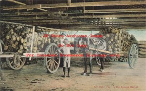 FL, Key West, Florida, Horse Drawn Wagons of Sponges at the Sponge Market