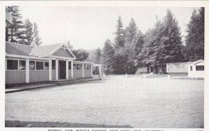 Near SANTA CRUZ California 1900-1910s Genereal View Sequoia Gardens