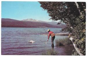 Oregon Odell Lake Trout Fishing Vintage Postcard Walt Dyke