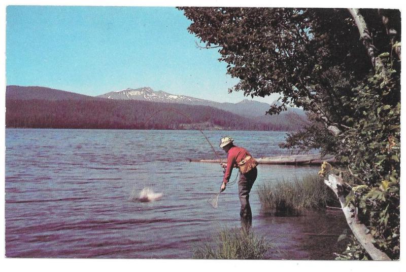 Oregon Odell Lake Trout Fishing Vintage Postcard Walt Dyke