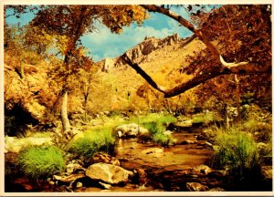 Arizona Tucson Sabino Canyon With Autumn Foliage