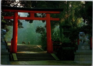 Postcard Japan Nara Kasuga Shrine Front Area deer grazing at daybreak