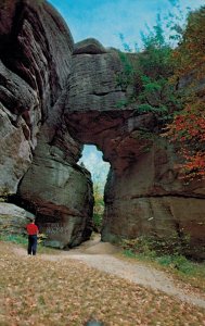 The Three Sisters Rocks Rock City Park between Olean, NY & Bradford, PA Postcard